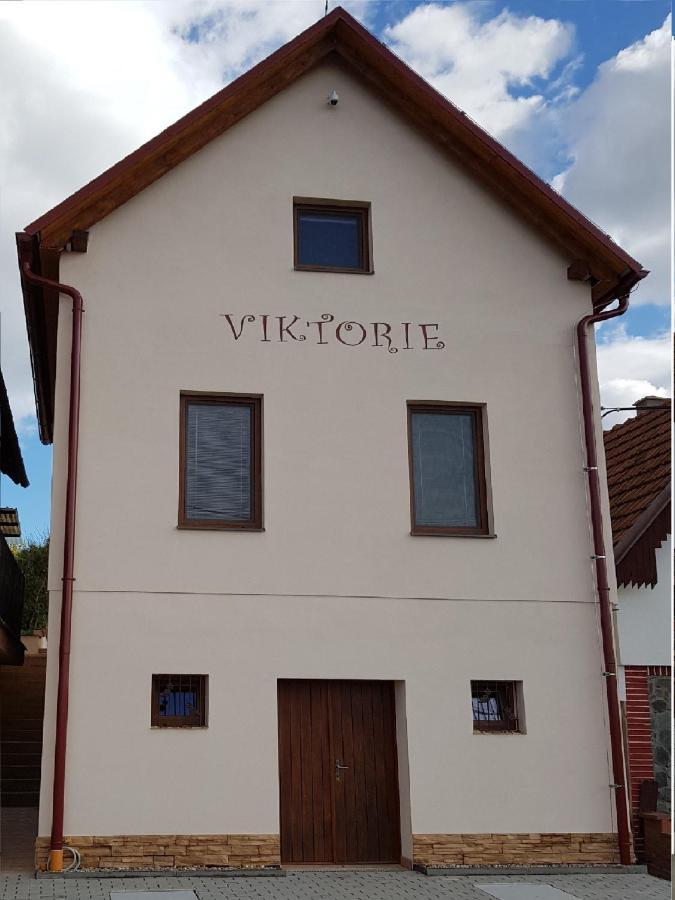 Apartman S Vinnym Sklepem Viktorie Pouzdrany Luaran gambar