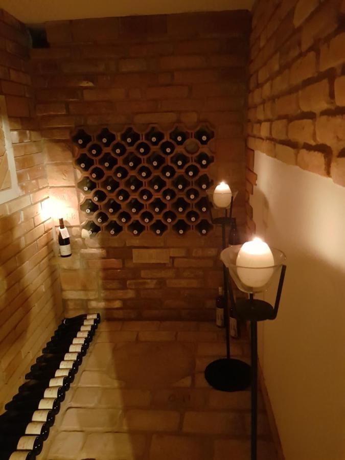 Apartman S Vinnym Sklepem Viktorie Pouzdrany Luaran gambar