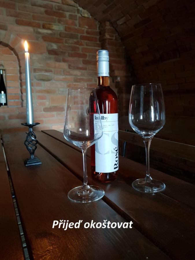 Apartman S Vinnym Sklepem Viktorie Pouzdrany Luaran gambar